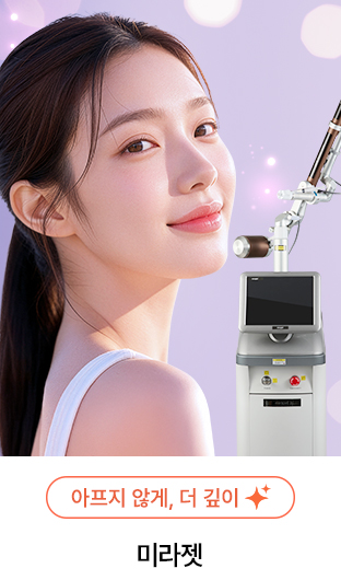 전체보기
