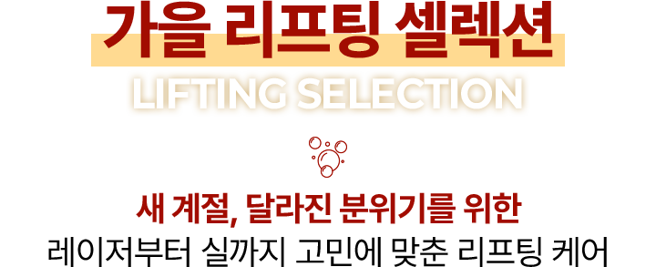 가을 리프팅 셀렉션