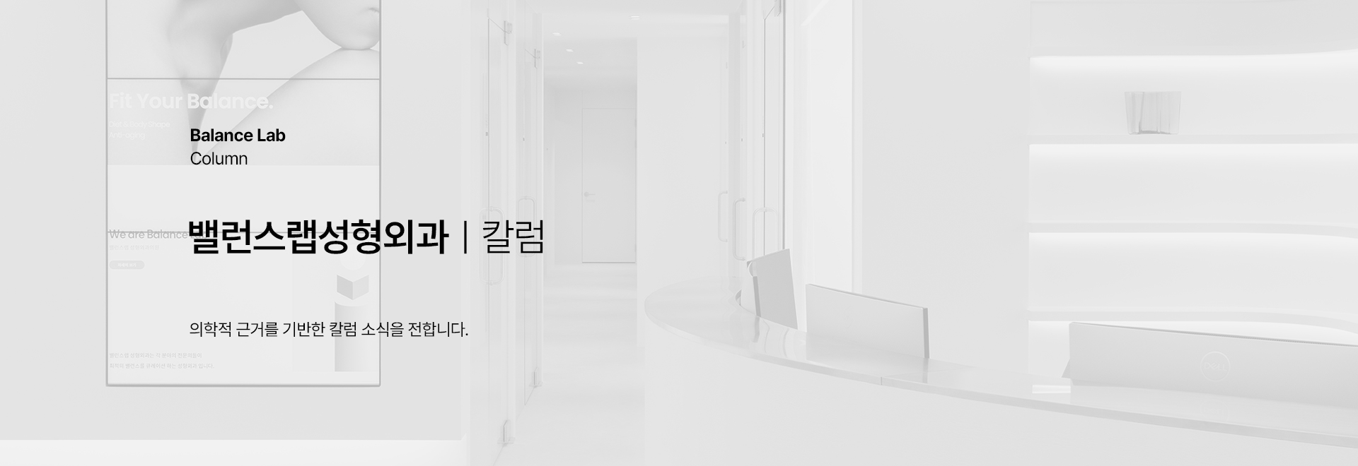 밸런스랩 칼럼