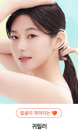 전체보기